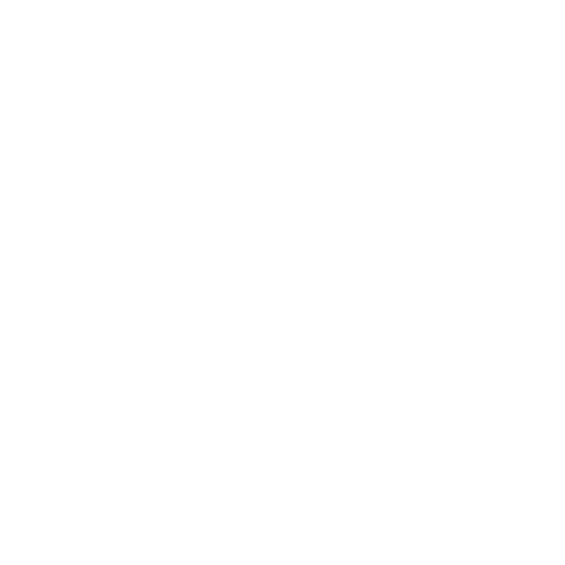 roof repairs icon